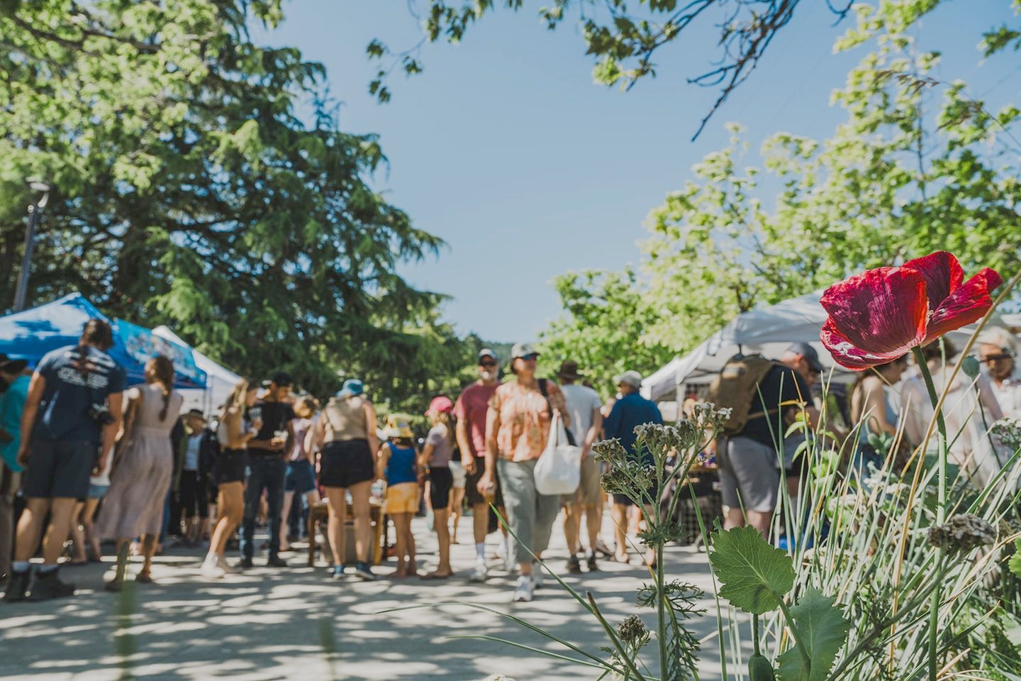 Shoppers walking between the market tents under the trees at Centennial Park
